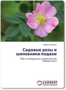 Садовые розы и шиповники-подвои - Пашина М.