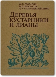 Деревья, кустарники и лианы - Гроздова Н. Б.