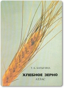 Хлебное зерно - Батыгина Т. Б.