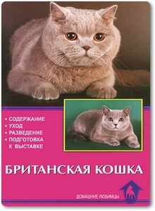 Британская кошка - Сугробов В. Ю.