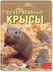 Декоративные крысы - Скрипко И. А.