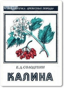 Калина - Солодухин Е. Д.