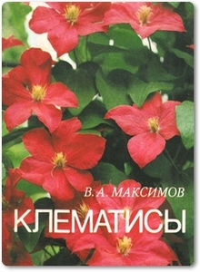 Клематисы - Максимов В. А.