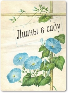 Лианы в саду - Степанова И.
