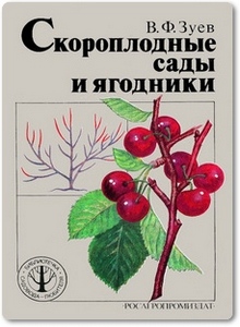 Скороплодные сады и ягодники - Зуев В. Ф.