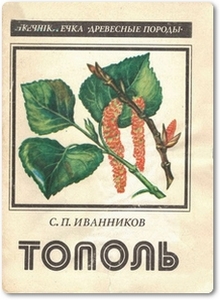 Тополь - Иванников С. П.