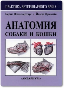 Анатомия собаки и кошки - Фольмерхаус Б.