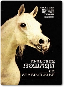 Арабские лошади на Ставрополье - Пономарева Т.