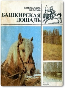 Башкирская лошадь - Мурсалимов В. С.