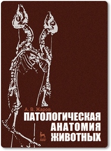 Патологическая анатомия животных - Жаров А. В.