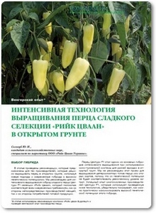Интенсивная технология выращивания перца - Сологуб Ю. И.