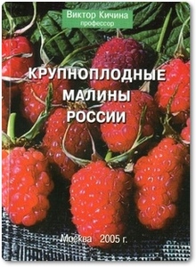 Крупноплодные малины России - Кичина В.