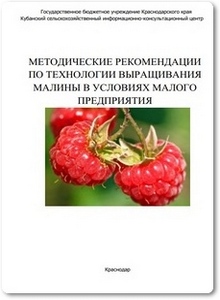 Методические рекомендации по технологии выращивания малины в условиях малого предприятия