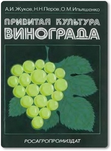 Привитая культура винограда - Жуков А. И.