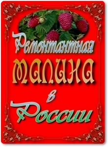 Ремонтантная малина в России - Казаков И. В.