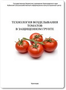 Технология возделывания томатов в защищенном грунте