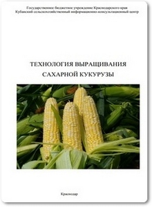 Технология выращивания сахарной кукурузы