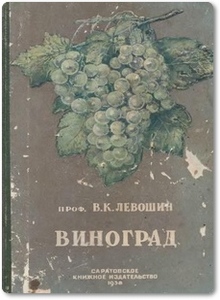 Виноград - Левошин В. К.