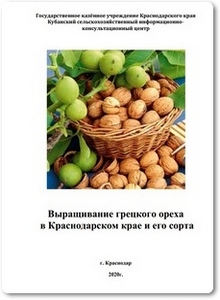 Выращивание грецкого ореха в Краснодарском крае и его сорта