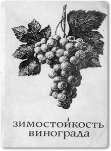 Зимостойкость винограда - Мишуренко А. Г.