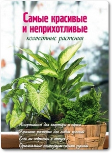 Самые красивые и неприхотливые комнатные растения - Волкова Е. А.