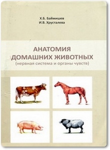 Анатомия домашних животных - Баймишев Х. Б.