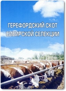 Герефордский скот сибирской селекции - Гамарник Н. Г. 