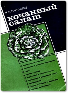 Кочанный салат - Пантиелев Я. X.