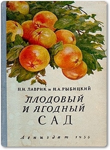 Плодовый и ягодный сад - Лаврик П.
