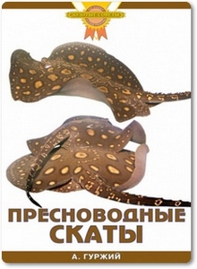 Пресноводные скаты - Гуржий А. Н.