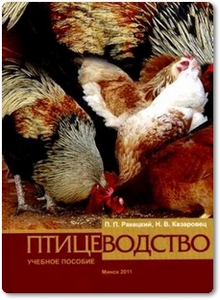 Птицеводство - Ракецкий П. П.