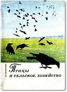Птицы и сельское хозяйство - Голованова Э. Н.