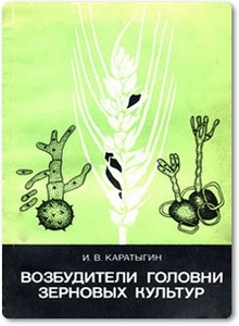 Возбудители головни зерновых культур Каратыгин И. В.