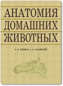 Анатомия домашних животных - Климов А. Ф.