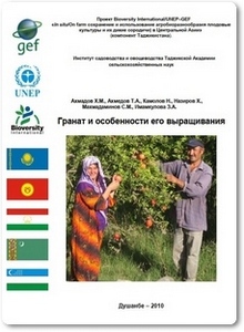 Гранат и особенности его выращивания - Ахмадов Х. М.