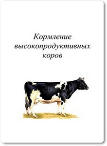 Кормление высокопродуктивных коров - Гамко Л. Н.