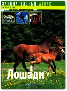 Лошади. Занимательный атлас - Канетти Б.