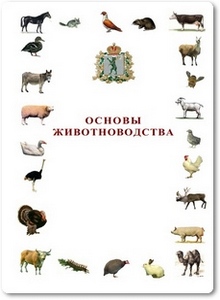 Основы животноводства - Тамарова Р. В.