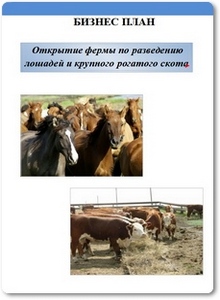 Открытие фермы по разведению лошадей и крупного рогатого скота: Бизнес-план