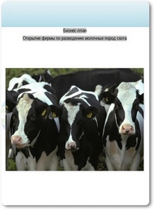 Открытие фермы по разведению молочных пород скота: Бизнес-план