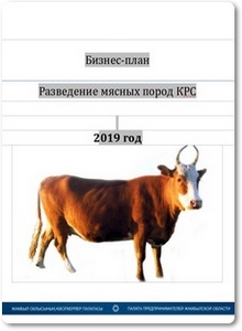 Разведение мясных пород КРС: Бизнес-план