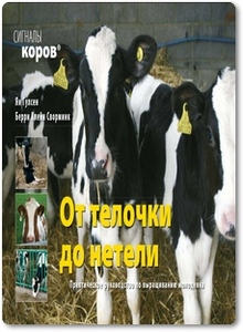 Сигналы коров: От телочки до нетели - Гулсен Я.