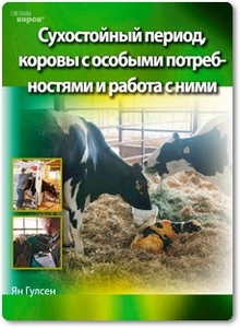 Сигналы коров. Сухостойный период коровы с особыми потребностями и работа с ними - Гулсен Я.