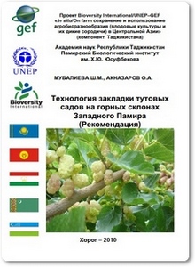 Технология закладки тутовых садов на горных склонах Западного Памира - Мубалиева Ш. М.