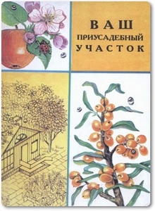 Ваш приусадебный участок - Заломов В. С.