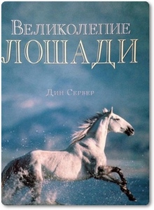Великолепие лошади - Дин Сервер
