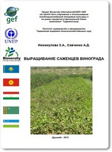 Выращивание саженцев винограда - Имамкулова З. А.
