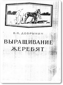 Выращивание жеребят - Добрынин В. П.